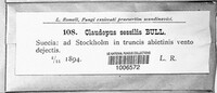 Image Associated With the Occurence